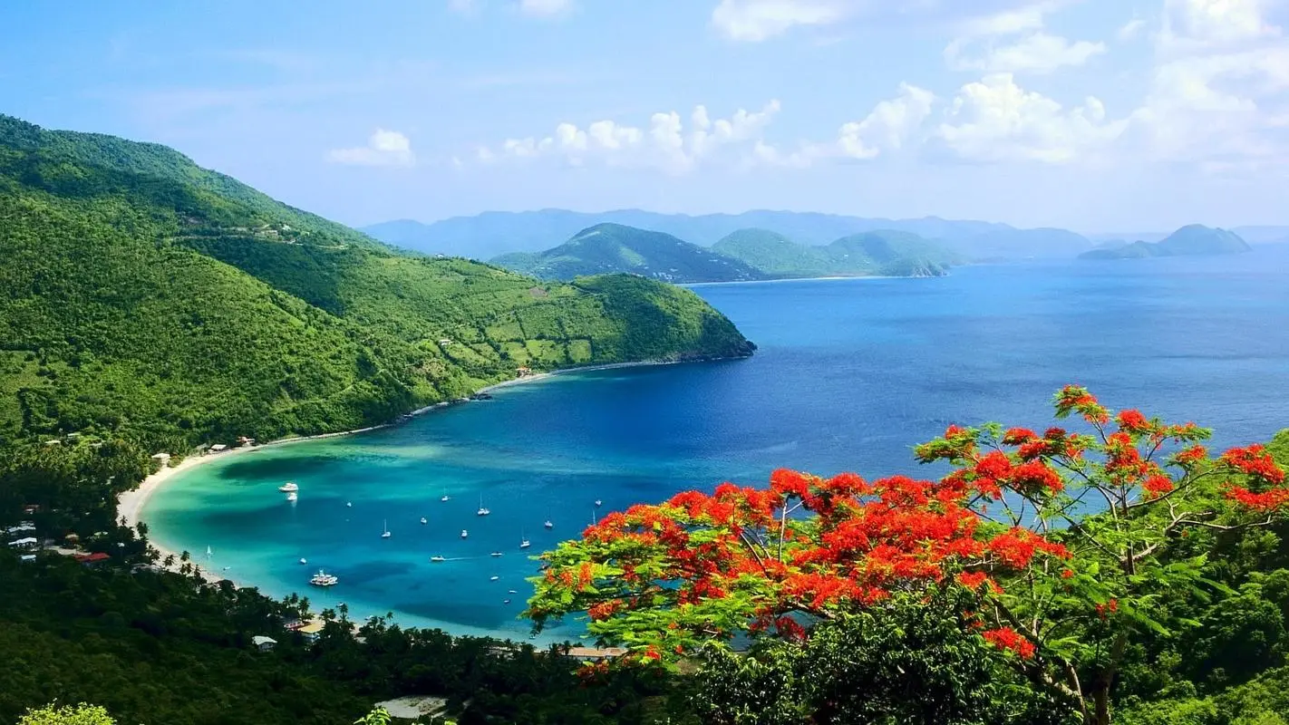 自动化高效高标准